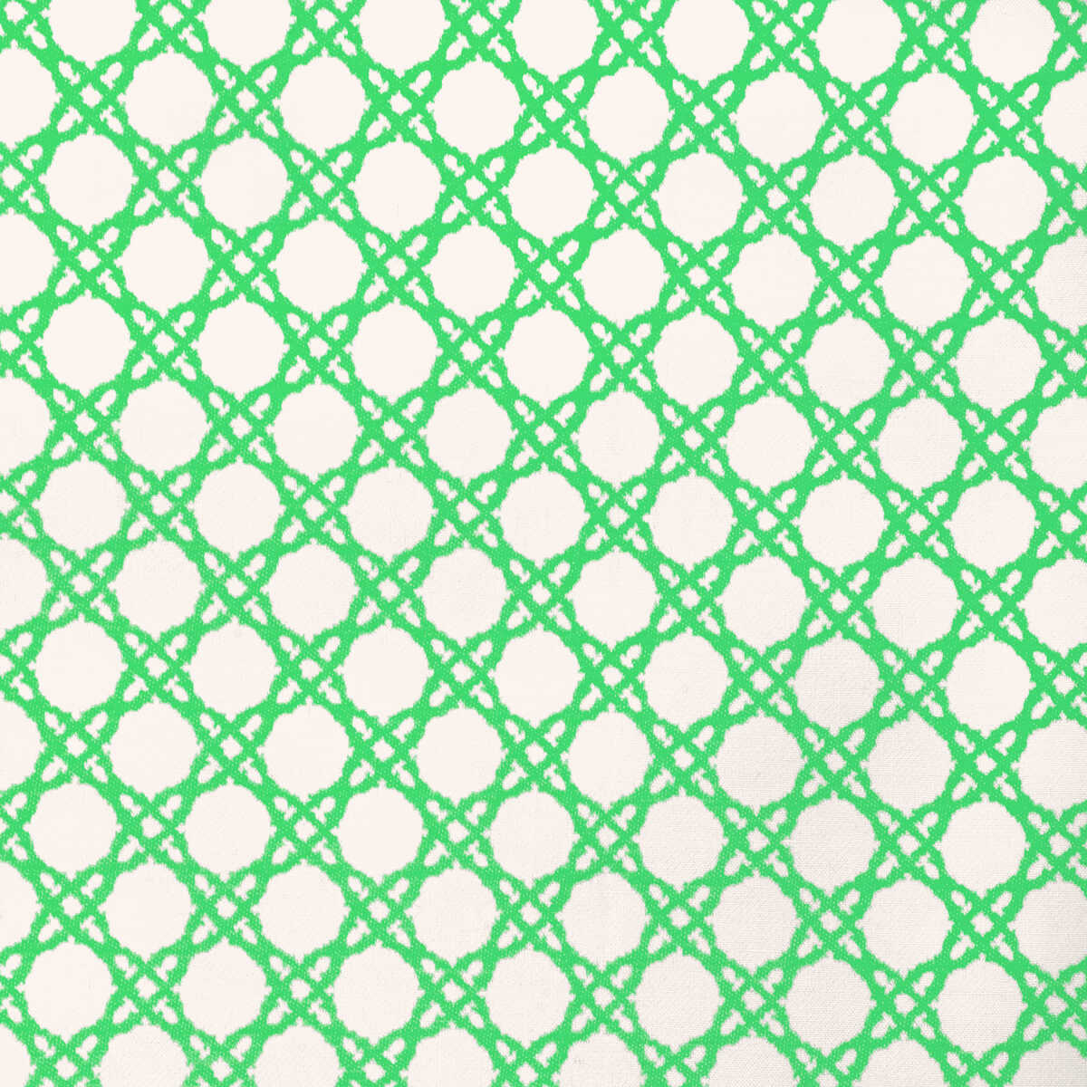 Coastal Cane - Green - LEE JOFA Fabric