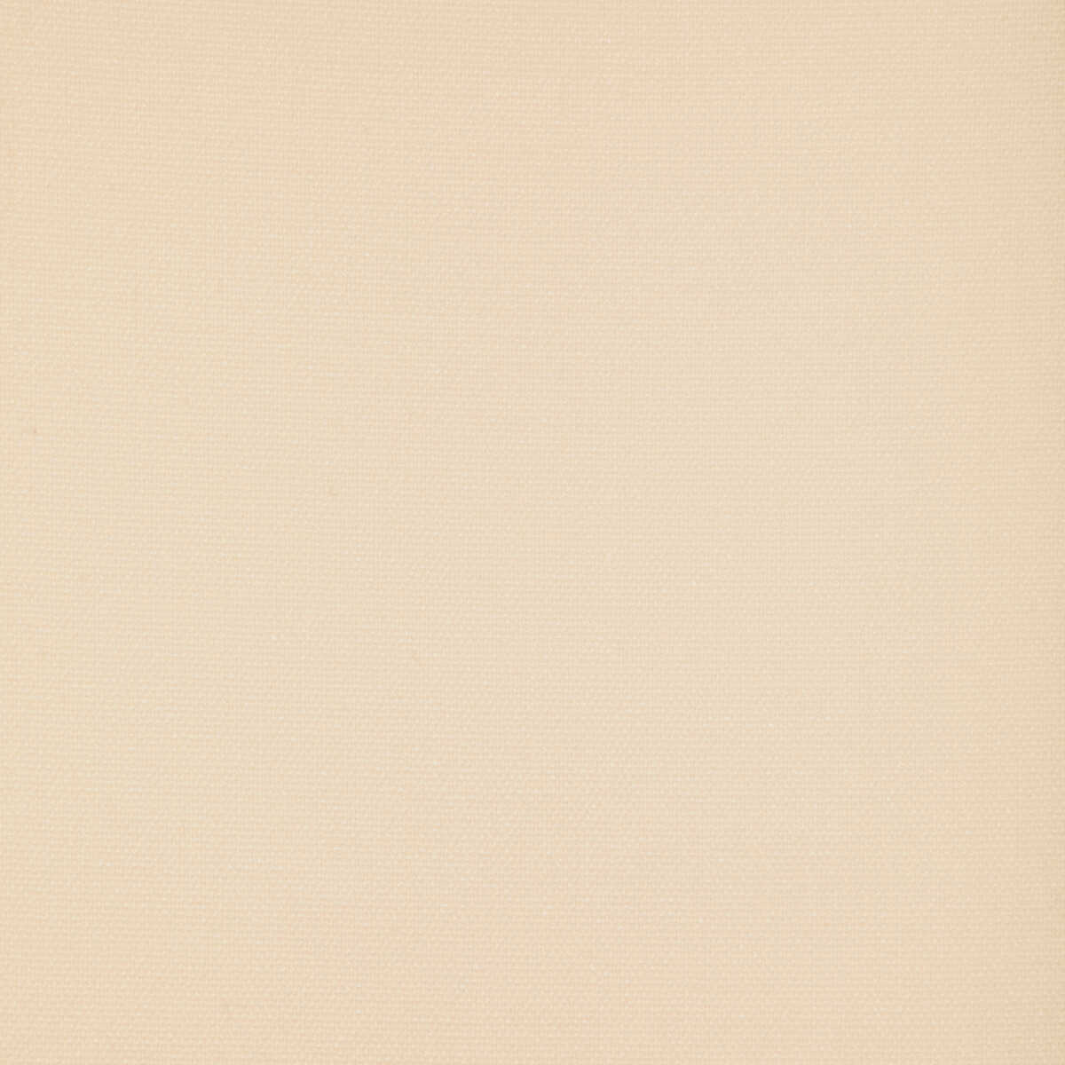 Sarasota Weave - Cream - LEE JOFA Fabric