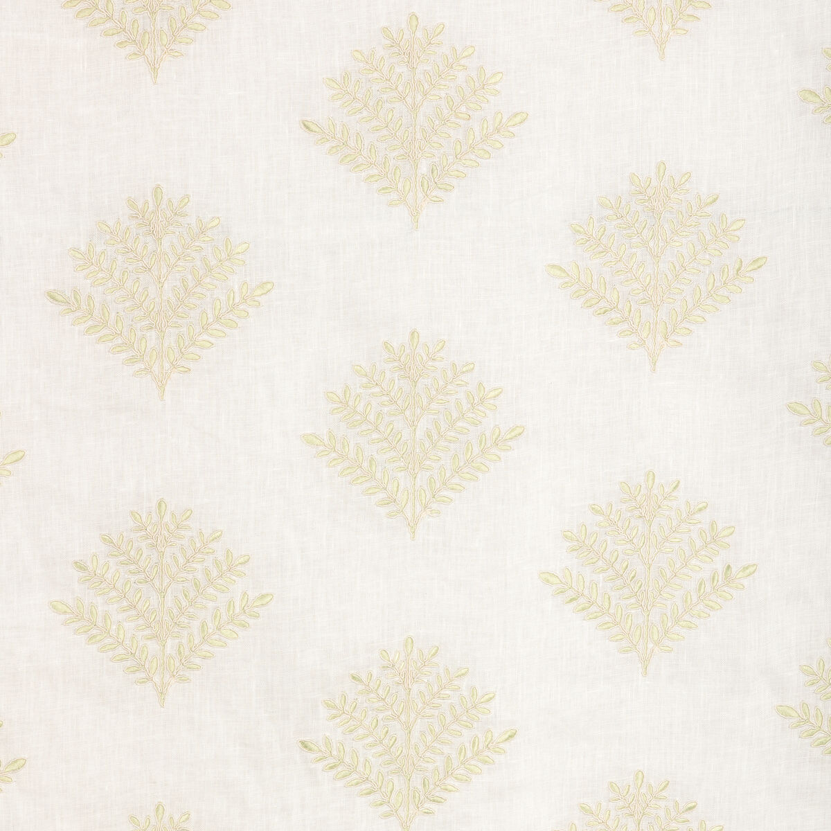Fernly Emb - Sage
