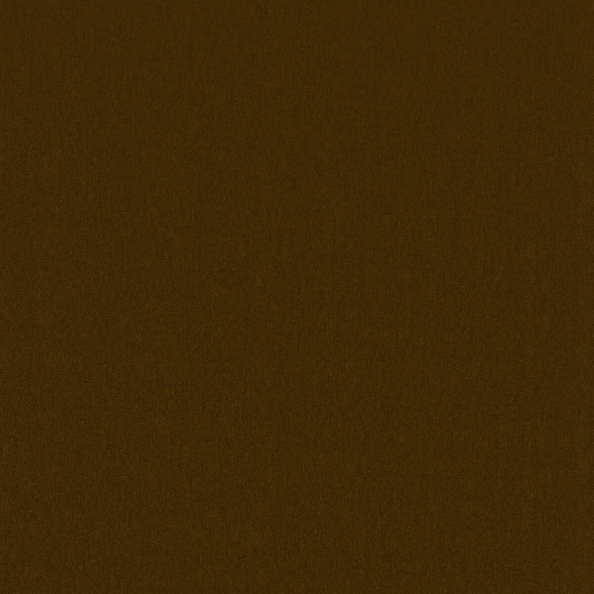 Cavelle Mohair Velvet - Cedar