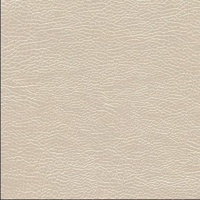 atacama-designers-guild-fdg2168-12