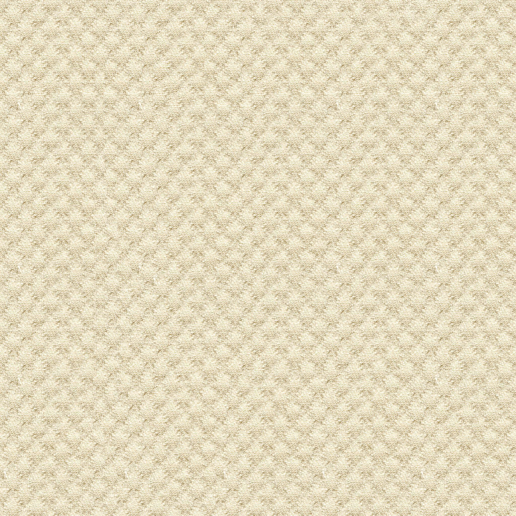 Kravet Design - 25807-1116