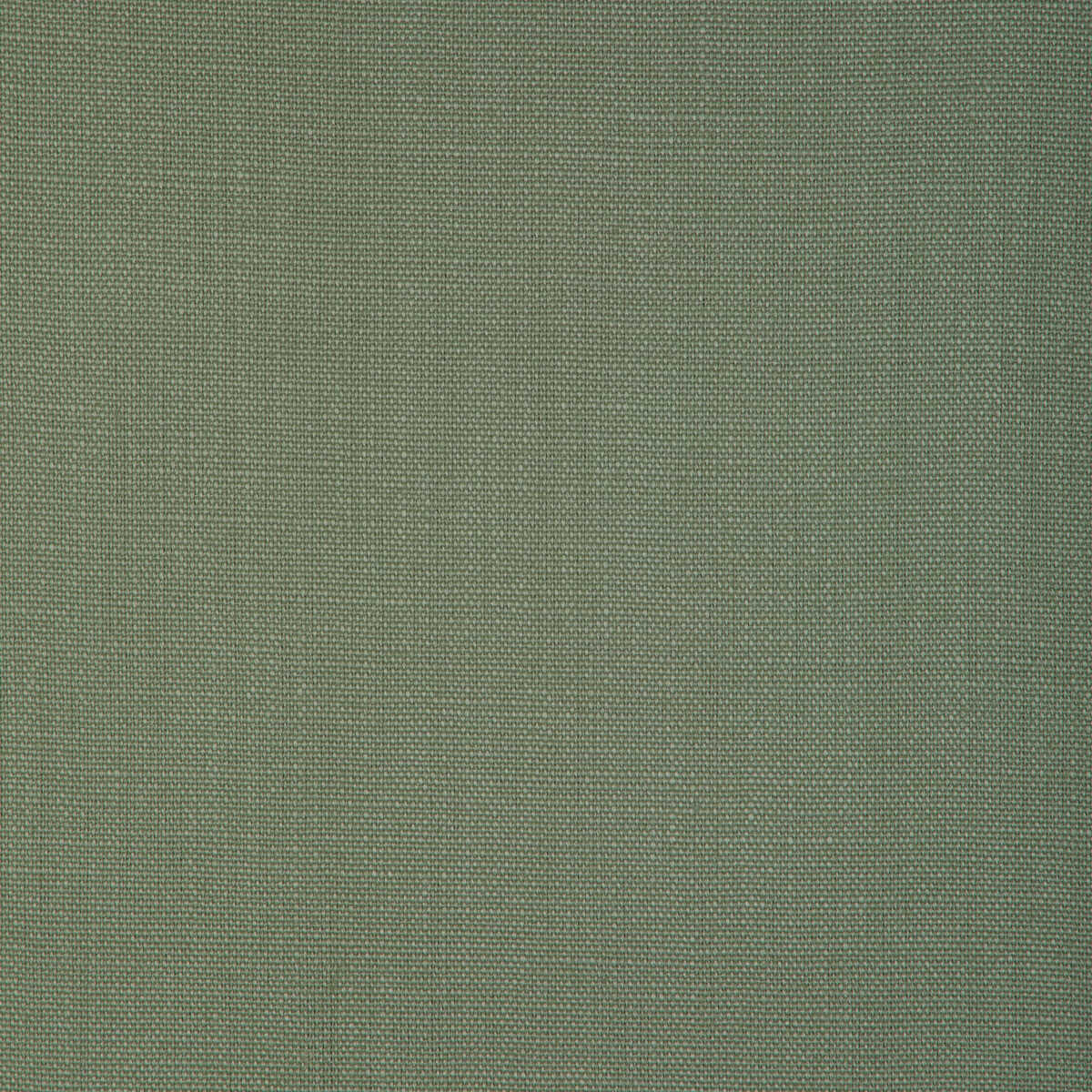 Stone Harbor - Pistachio - KRAVET BASICS Fabric