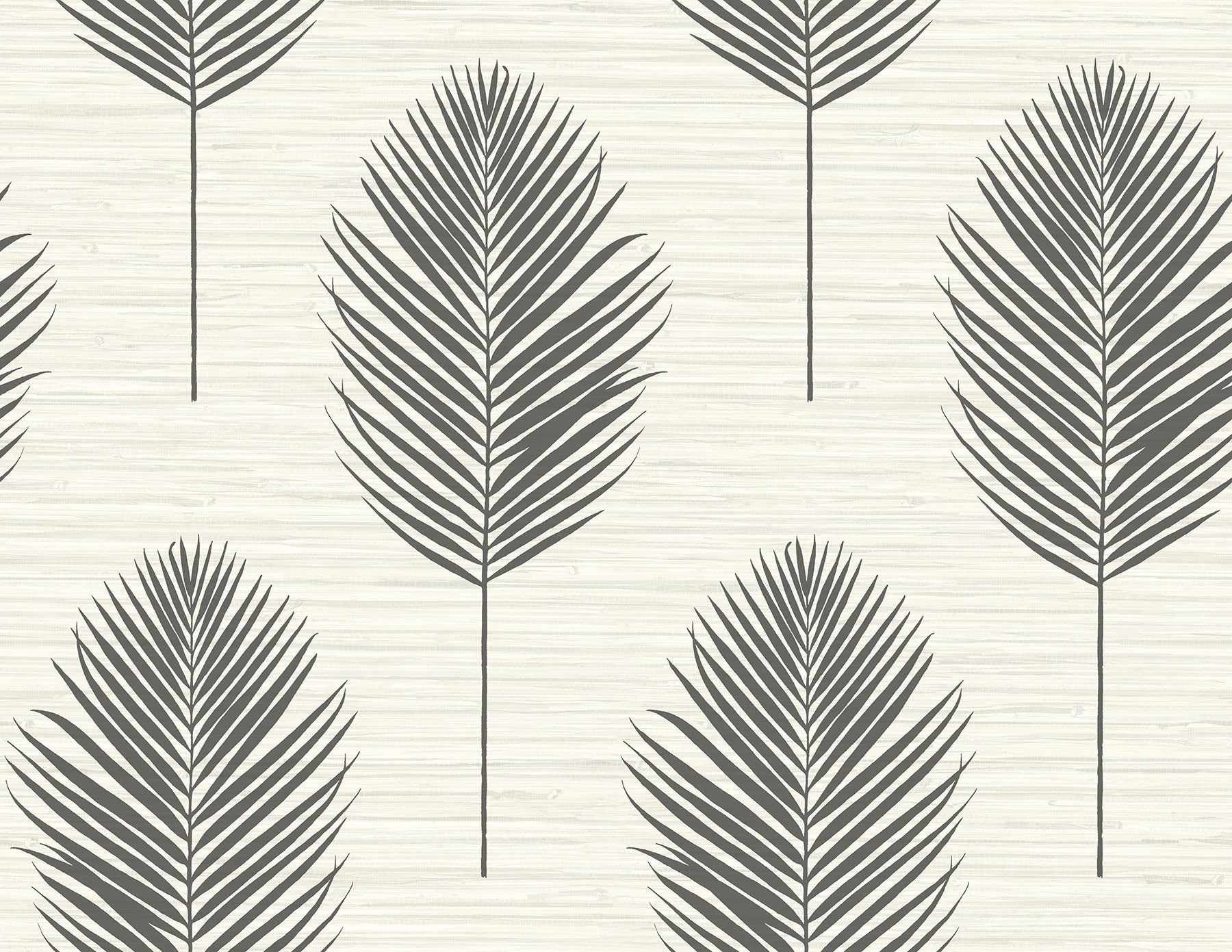 Bali Coral Fern Wallpaper - Black - York Wallcoverings - 2988-70210