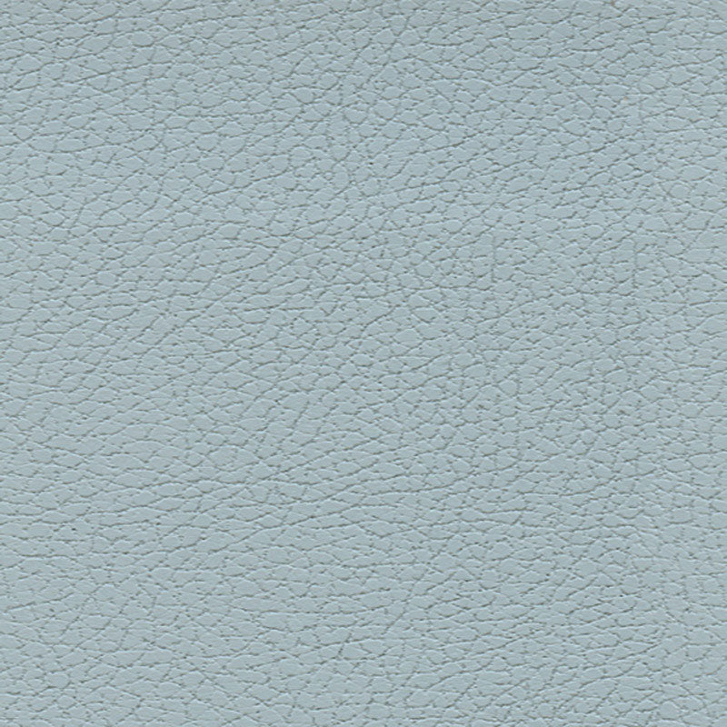 BRISA-STERLING-BLUE-SCHUMACHER-303-2698