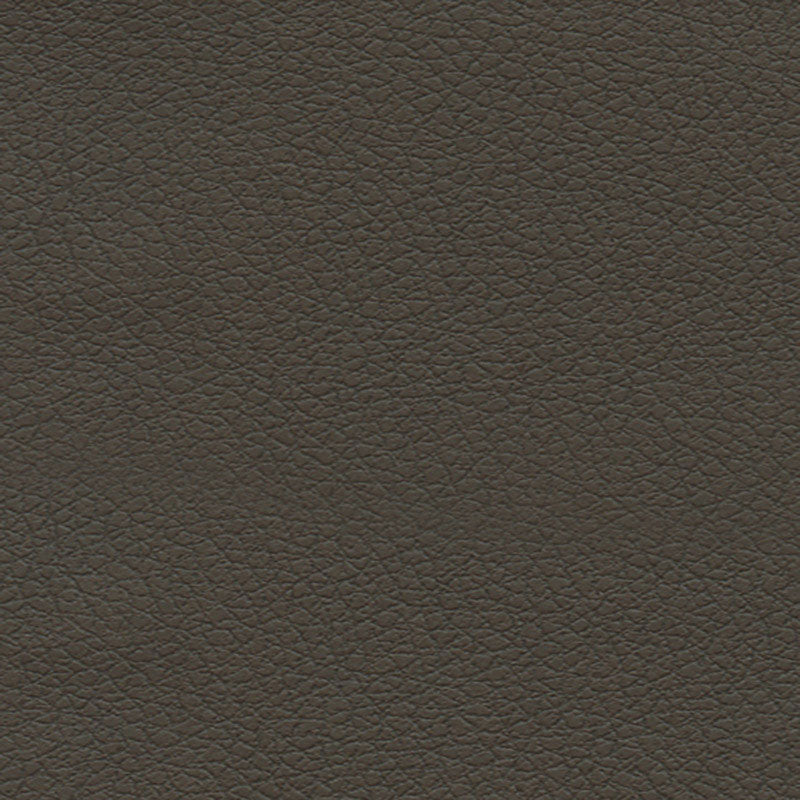 BRISA-TRUFFLE-SCHUMACHER-303-3913