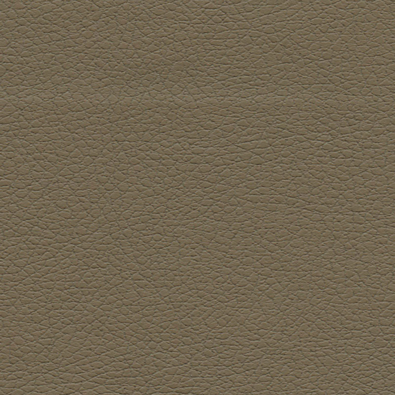 BRISA-BARK-SCHUMACHER-303-3914