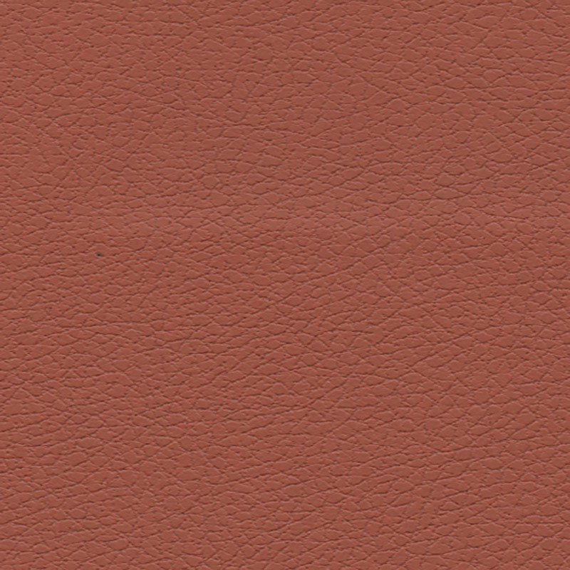 BRISA-CINNABAR-SCHUMACHER-303-8245