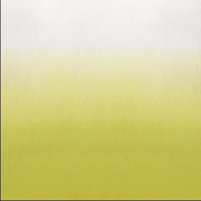 saraille-designers-guild-f1879-04