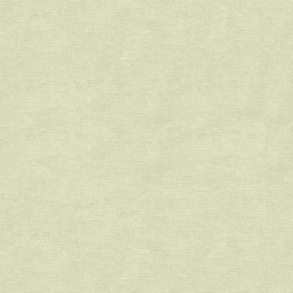 Charmant Velvet - Oyster - Brunschwig & Fils Fabric
