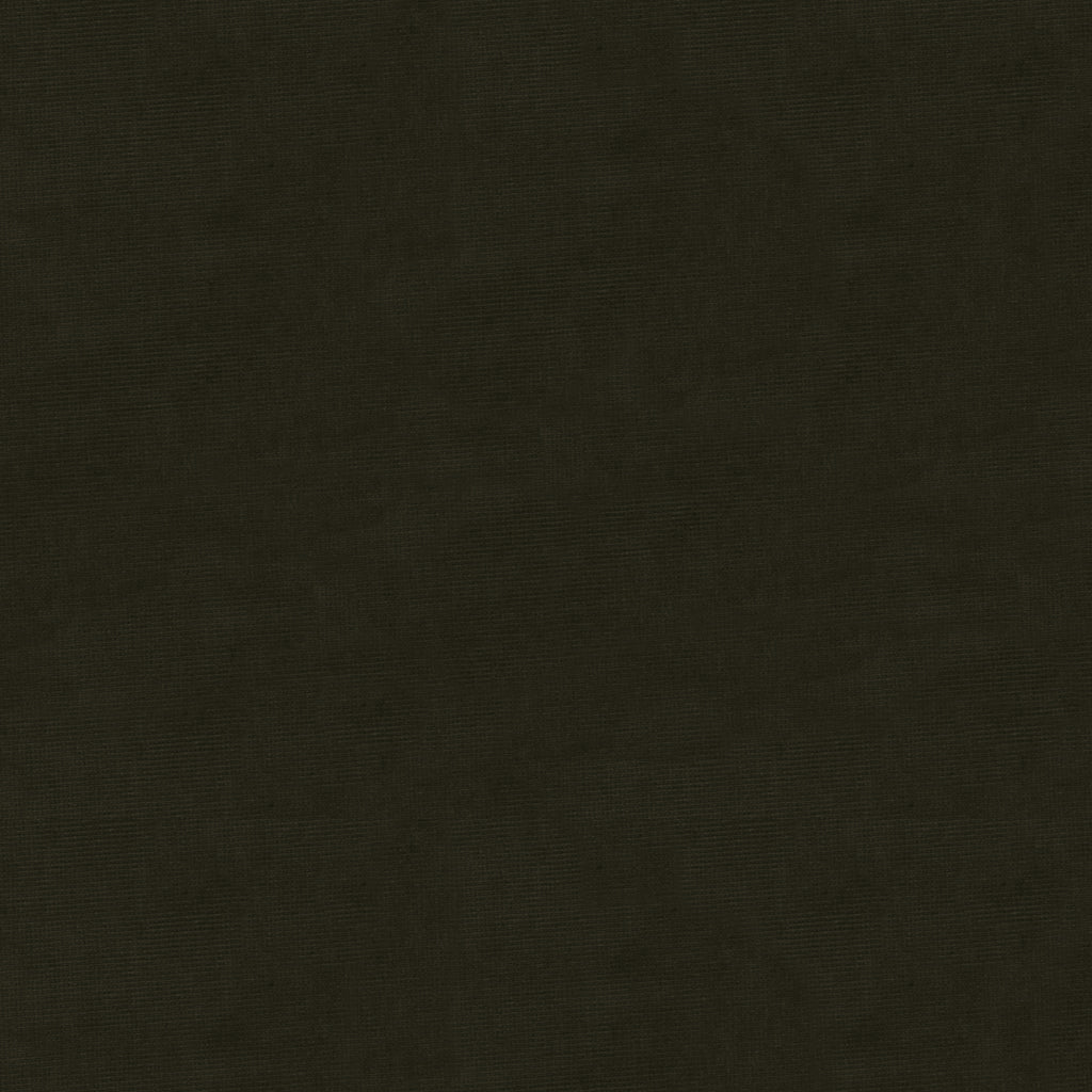 Charmant Velvet - Coal - Brunschwig & Fils Fabric