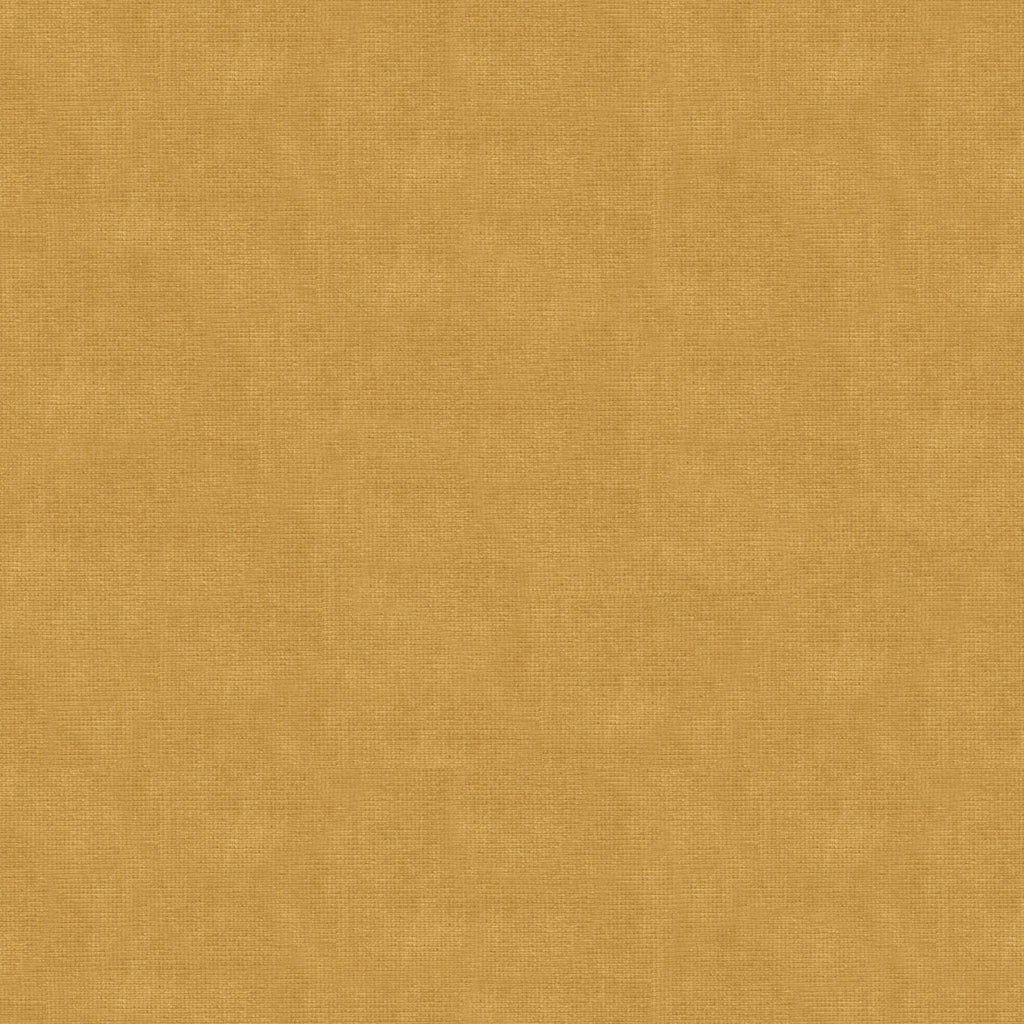 Charmant Velvet - Beige - Brunschwig & Fils Fabric