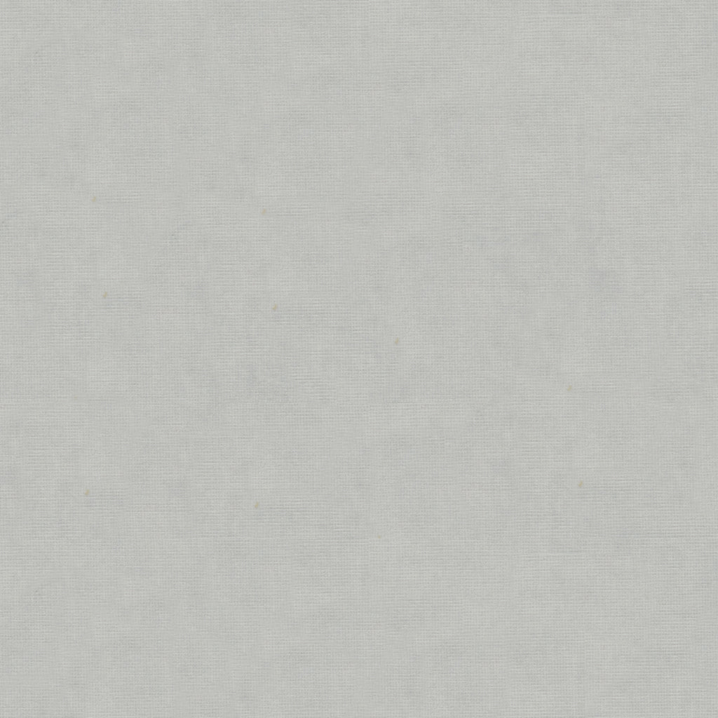 Charmant Velvet - Silver - Brunschwig & Fils Fabric