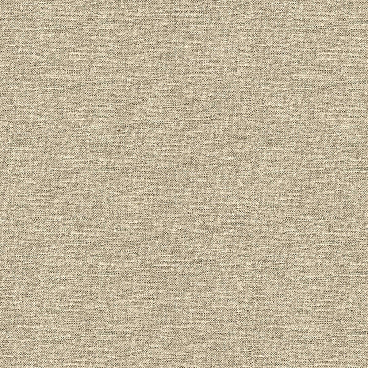 Kravet Contract - 33876-1611
