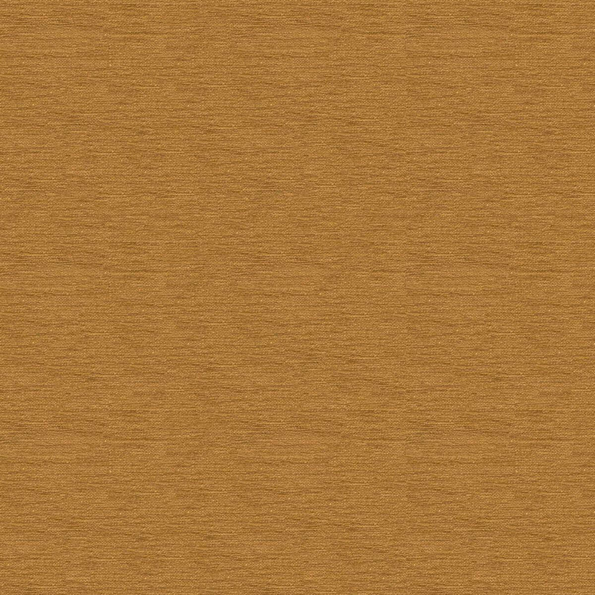 Kravet Contract - 33876-404