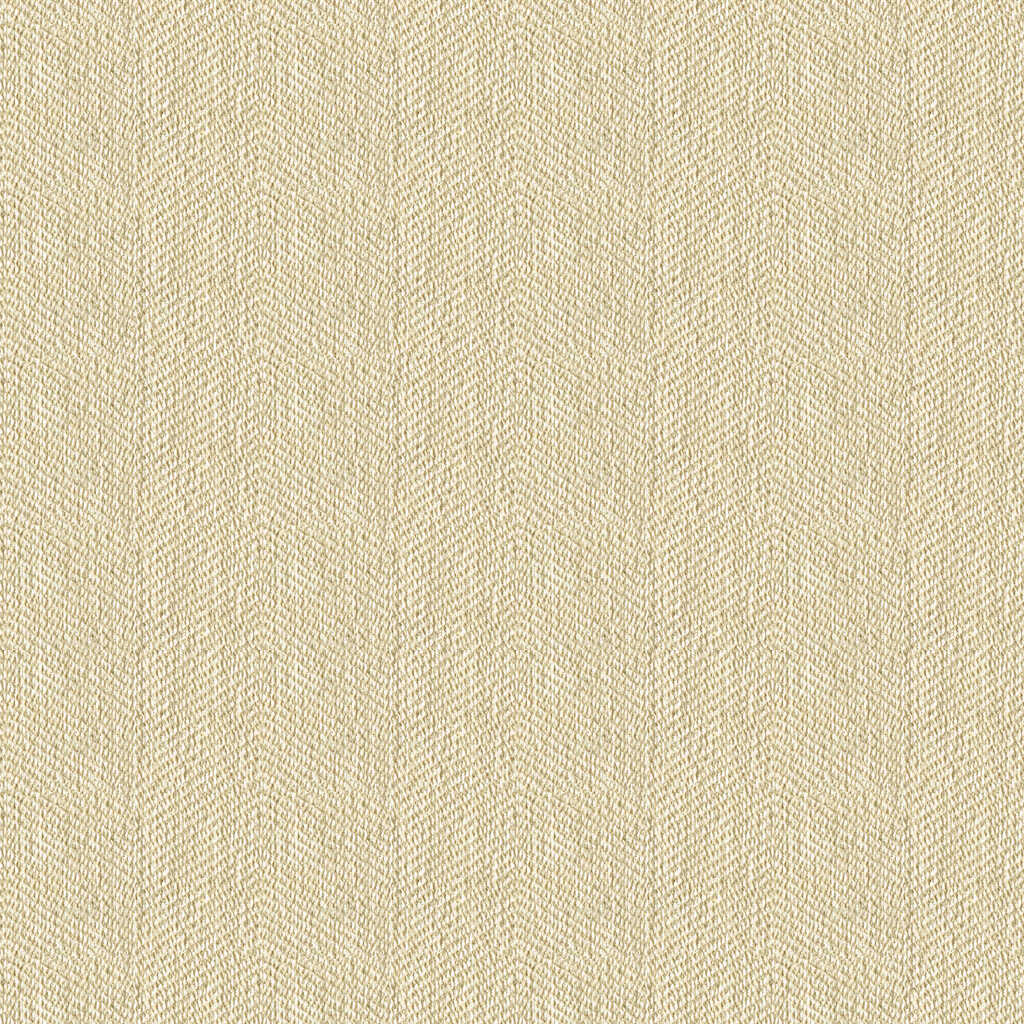 Kravet Contract - 33877-116