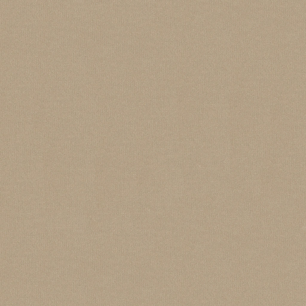 Oxford Velvet - Sandstone