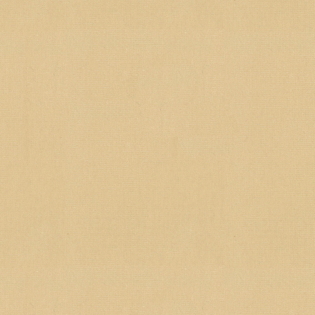 Oxford Velvet - Cream
