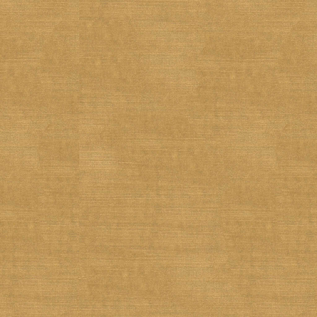 Lazare Velvet - Cream