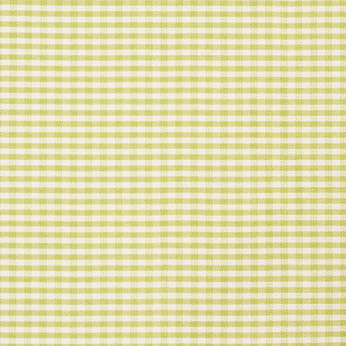 DALTON-SILK-GINGHAM-CHARTREUSE-SCHUMACHER-3449006
