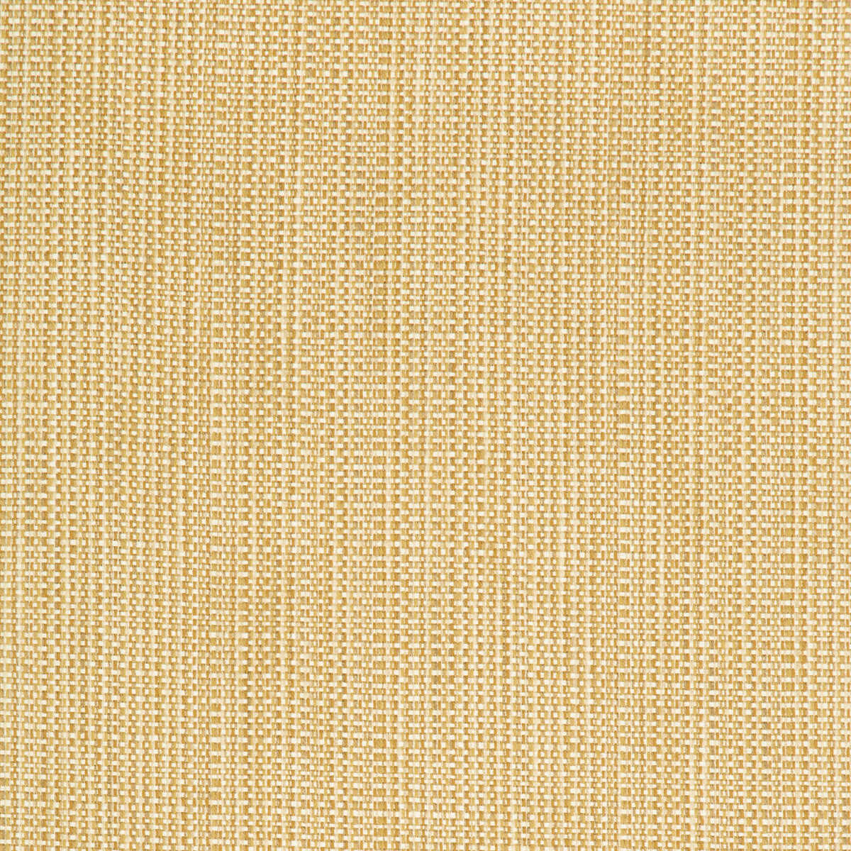 Kravet Contract - 34634-416