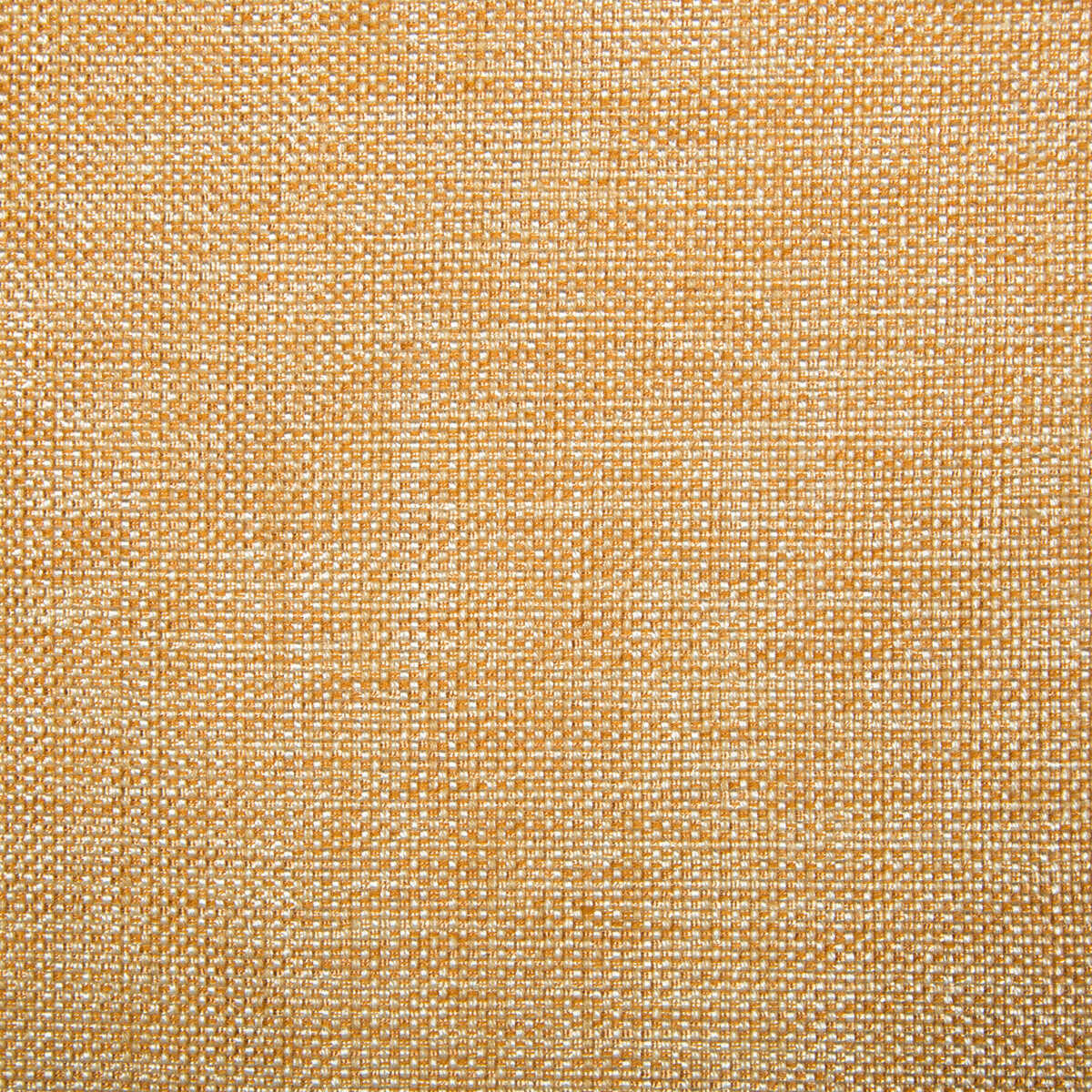 Kravet Contract - 34926-1211
