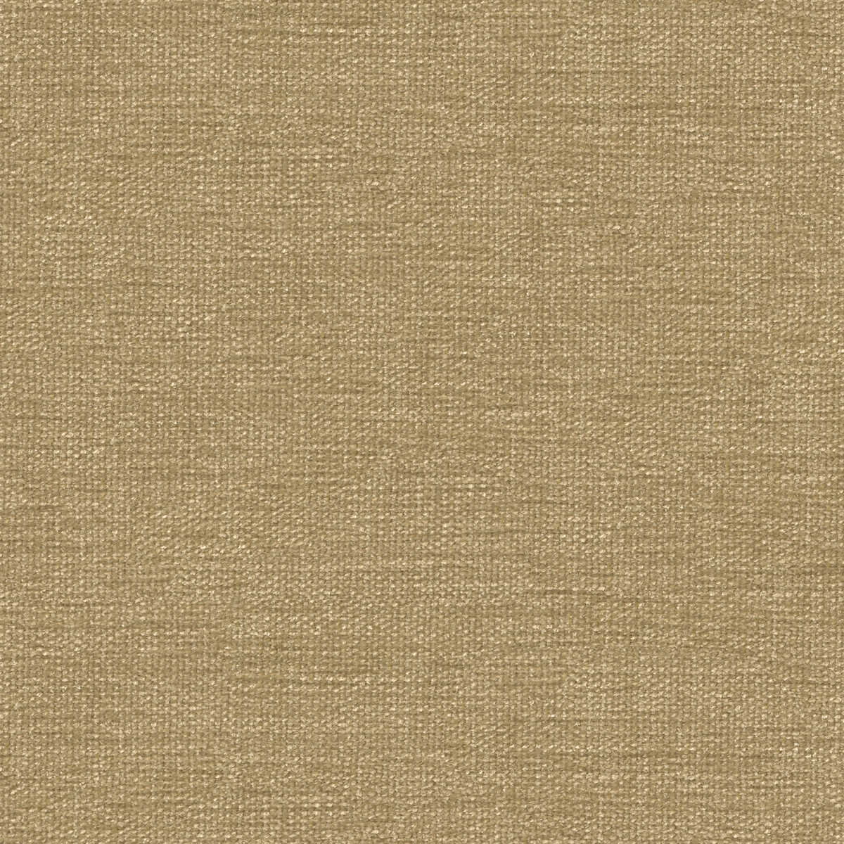 Kravet Contract - 34961-1616 - KRAVET CONTRACT Tela