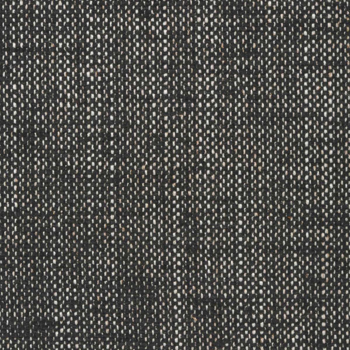 Kravet Contract - 35112-81