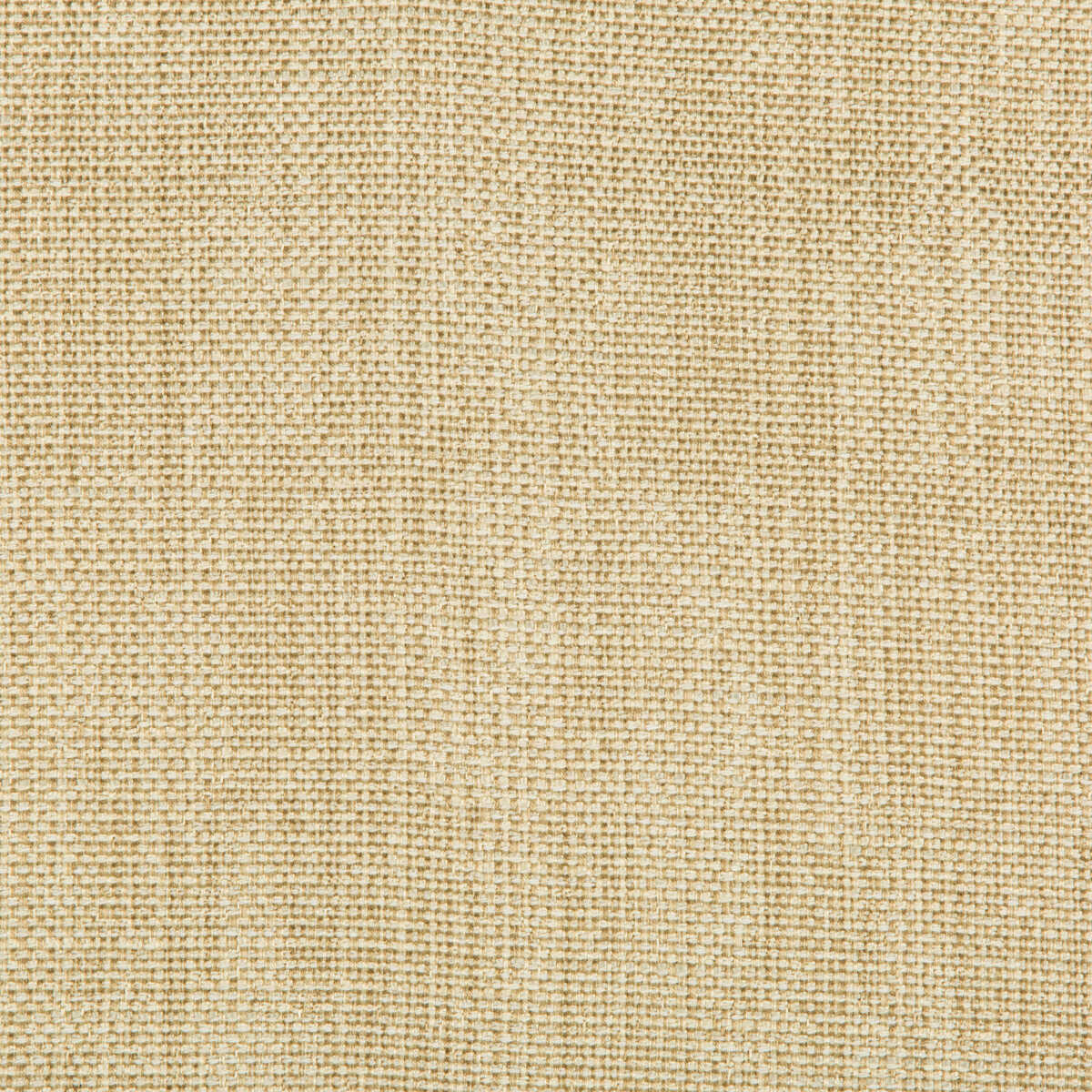 Kravet Contract - 35132-4