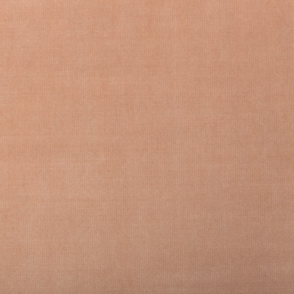 Chessford - Blush - Kravet Smart Tela