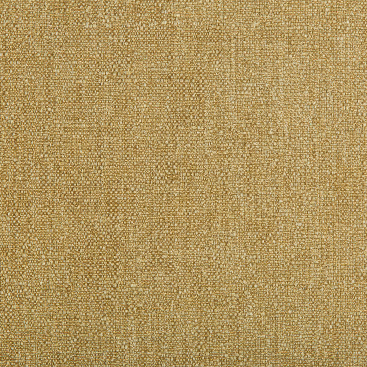 Kravet Contract - 35405-4