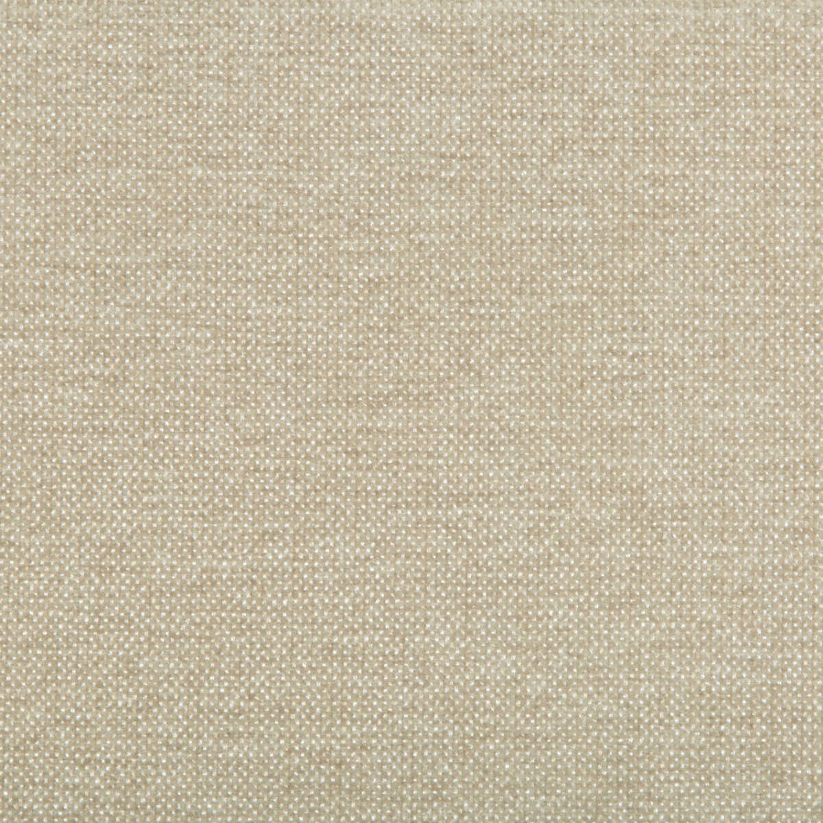 Kravet Contract - 35407-116