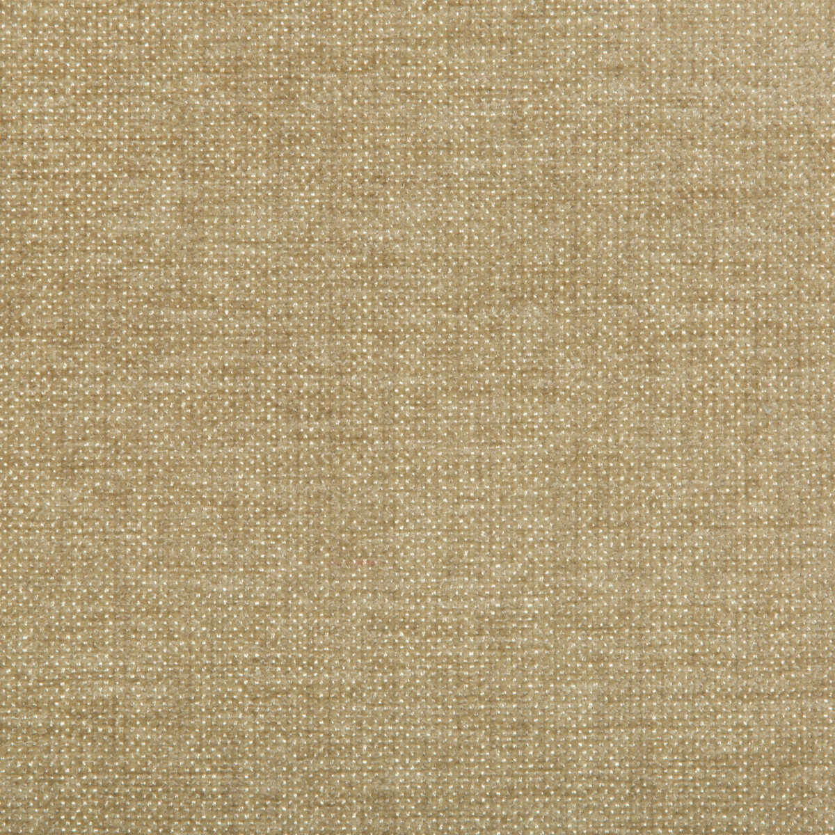Kravet Contract - 35407-16