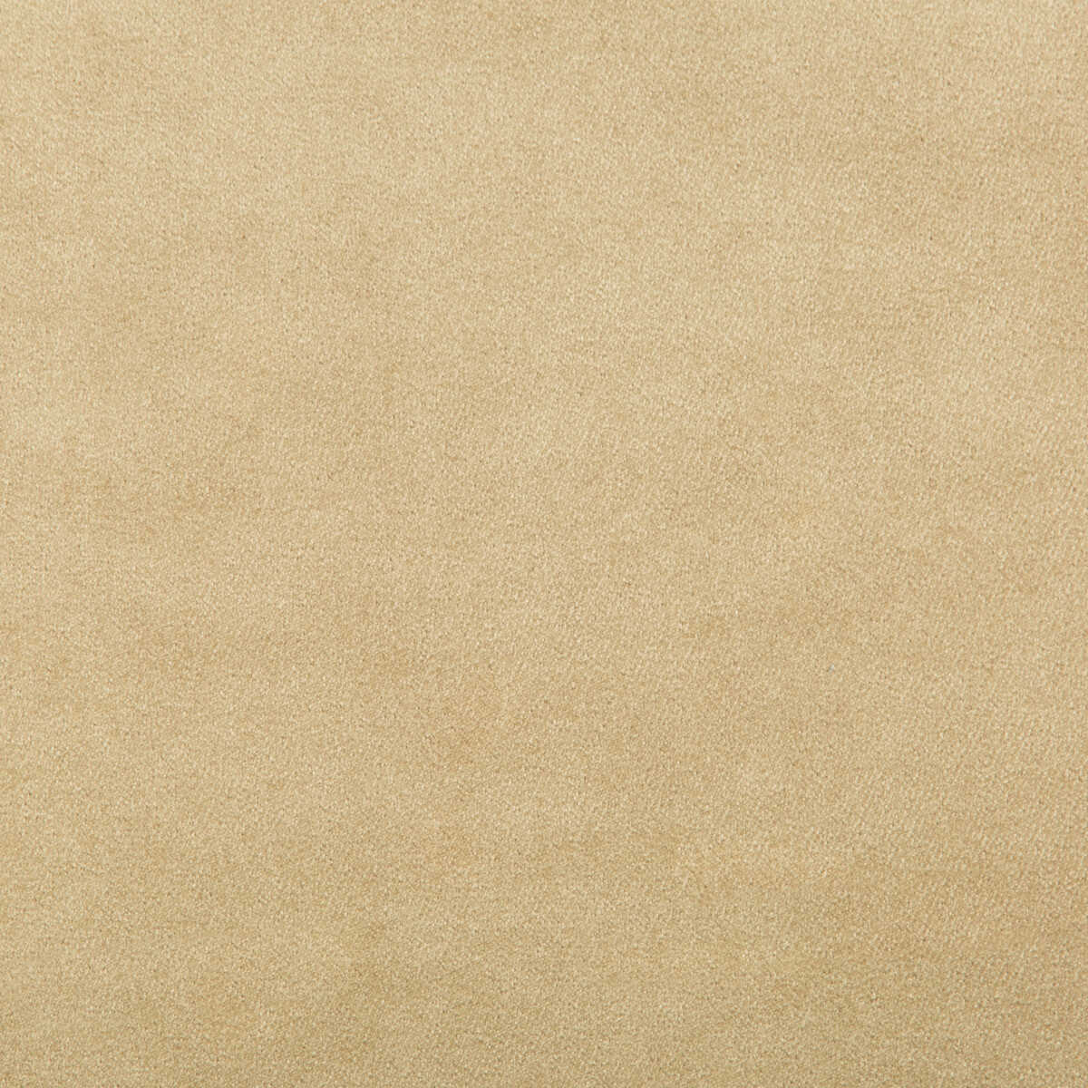 Madison Velvet - Sandalwood