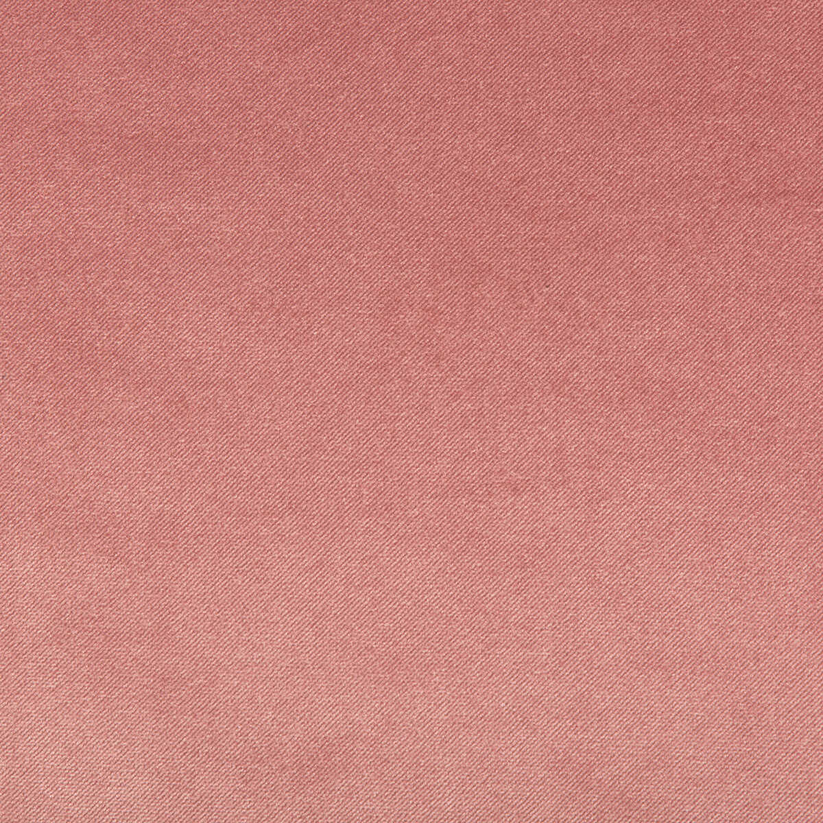 Madison Velvet - Pomelo