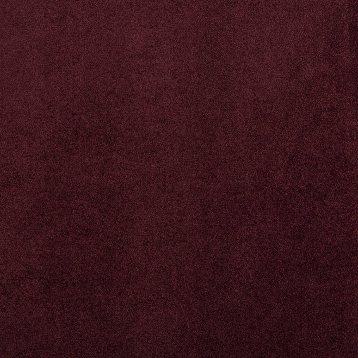 Madison Velvet - Raisin
