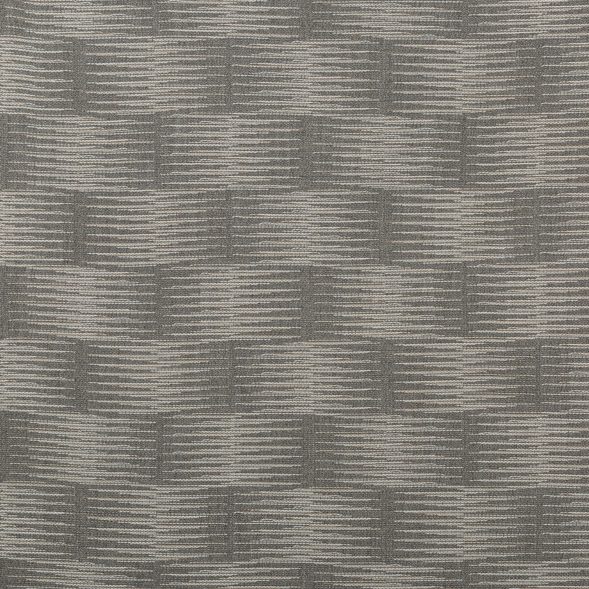 Line Drawing - Graphite - Kravet Couture Fabric