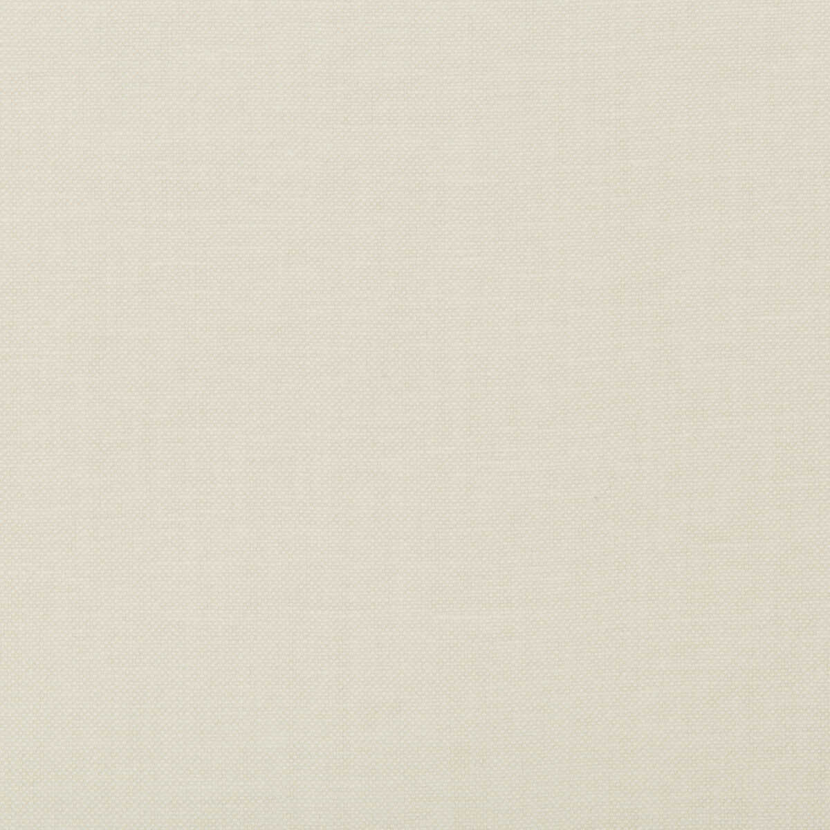 Oxfordian - Eggshell - KRAVET BASICS Fabric
