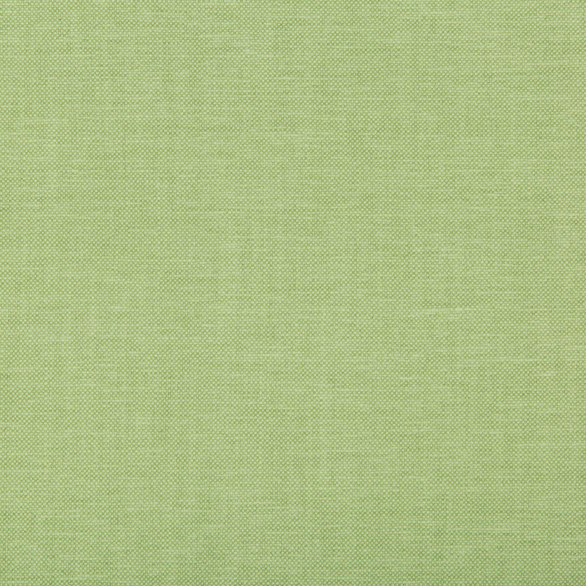 Oxfordian - Leaf - KRAVET BASICS Fabric