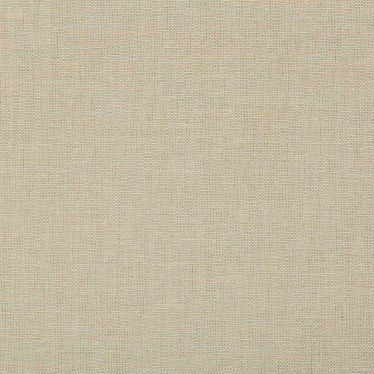 Oxfordian - Flax - Kravet Basics Fabric