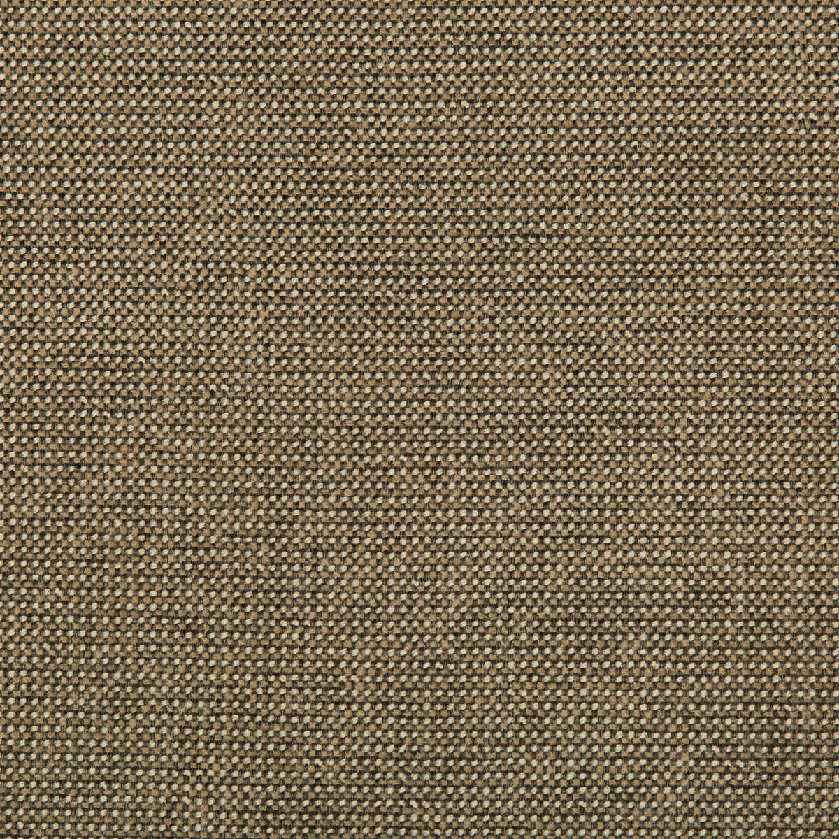 Burr - Pecan