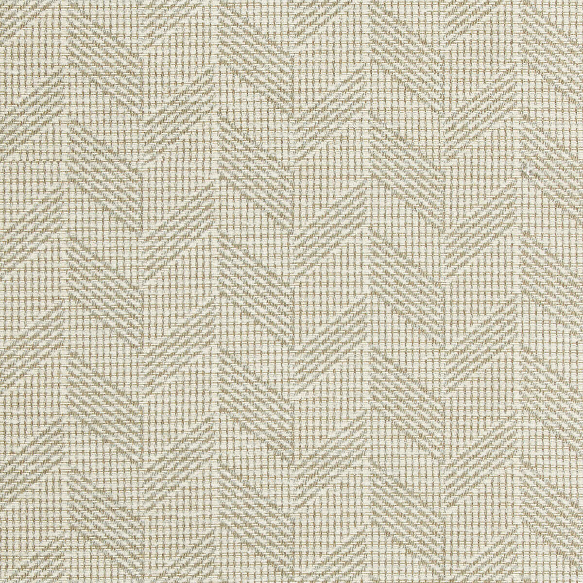 Cayuga - Boxwood