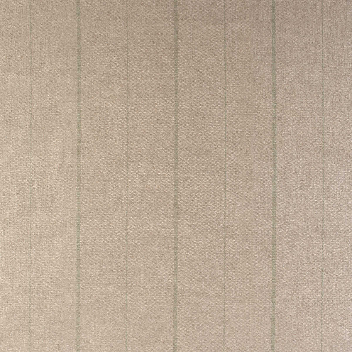 Chipper - Cactus - KRAVET DESIGN Fabric