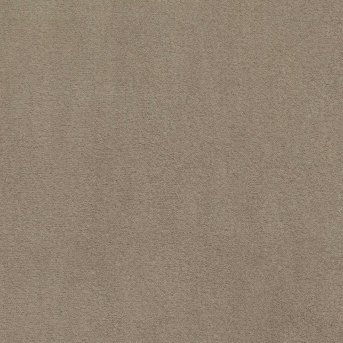 Plushilla - Beige