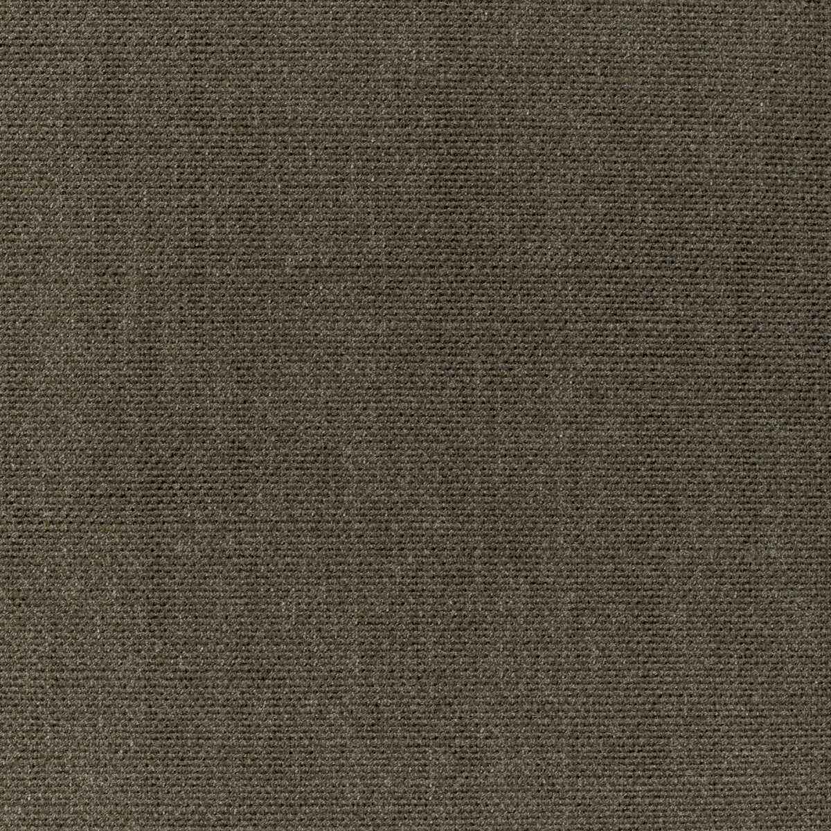 Kravet Smart 36112 311 Fabric