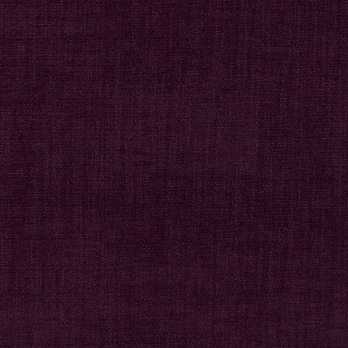 Accommodate - Mulberry
