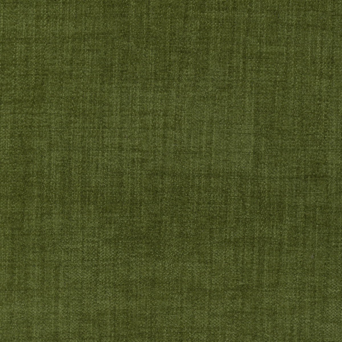 Accommodate - Moss - Kravet Contract Fabric
