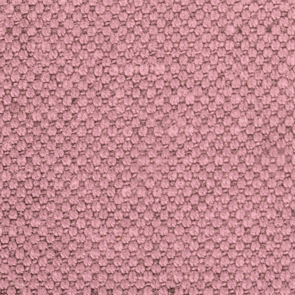Carson - Thistle - KRAVET BASICS Fabric