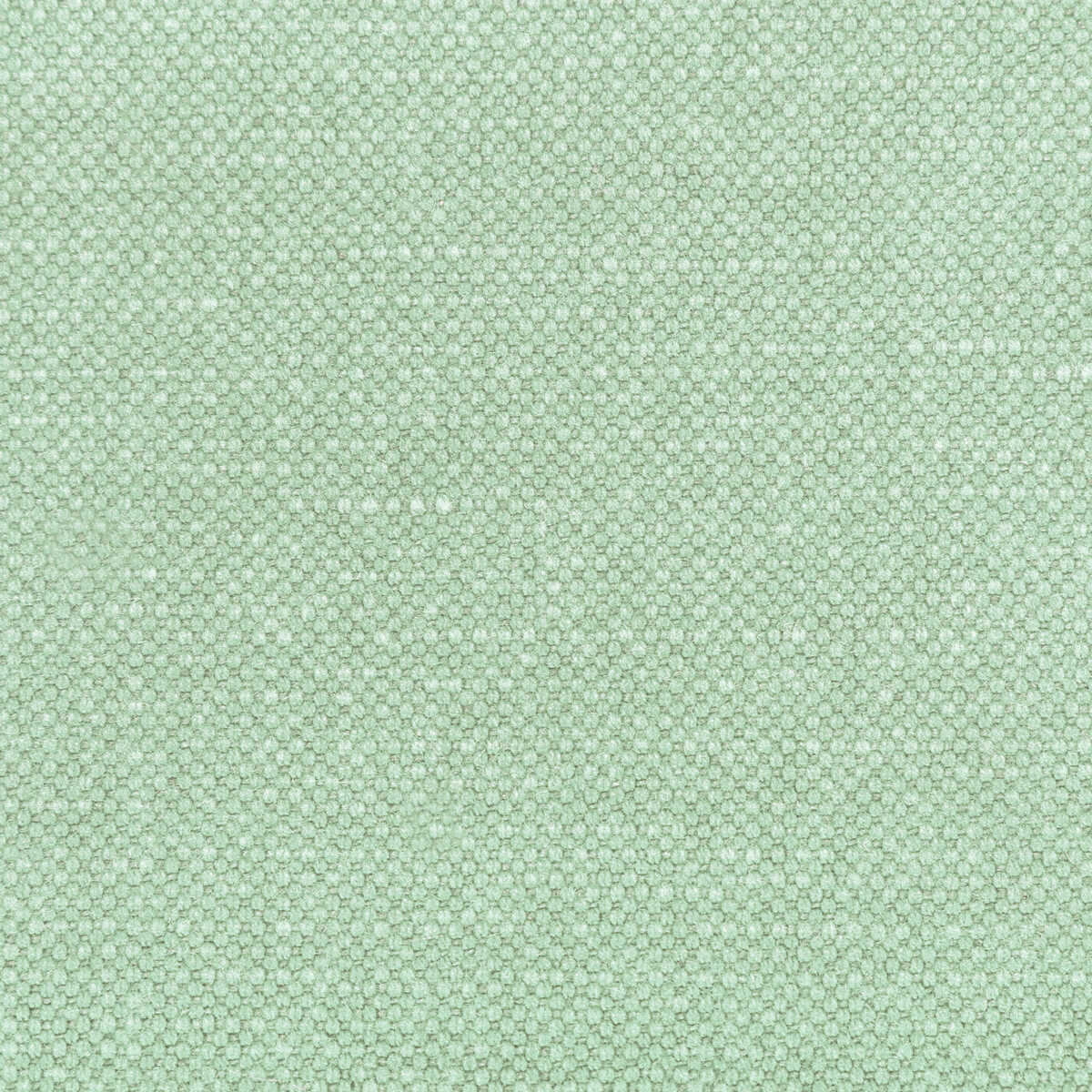 Carson - Mint