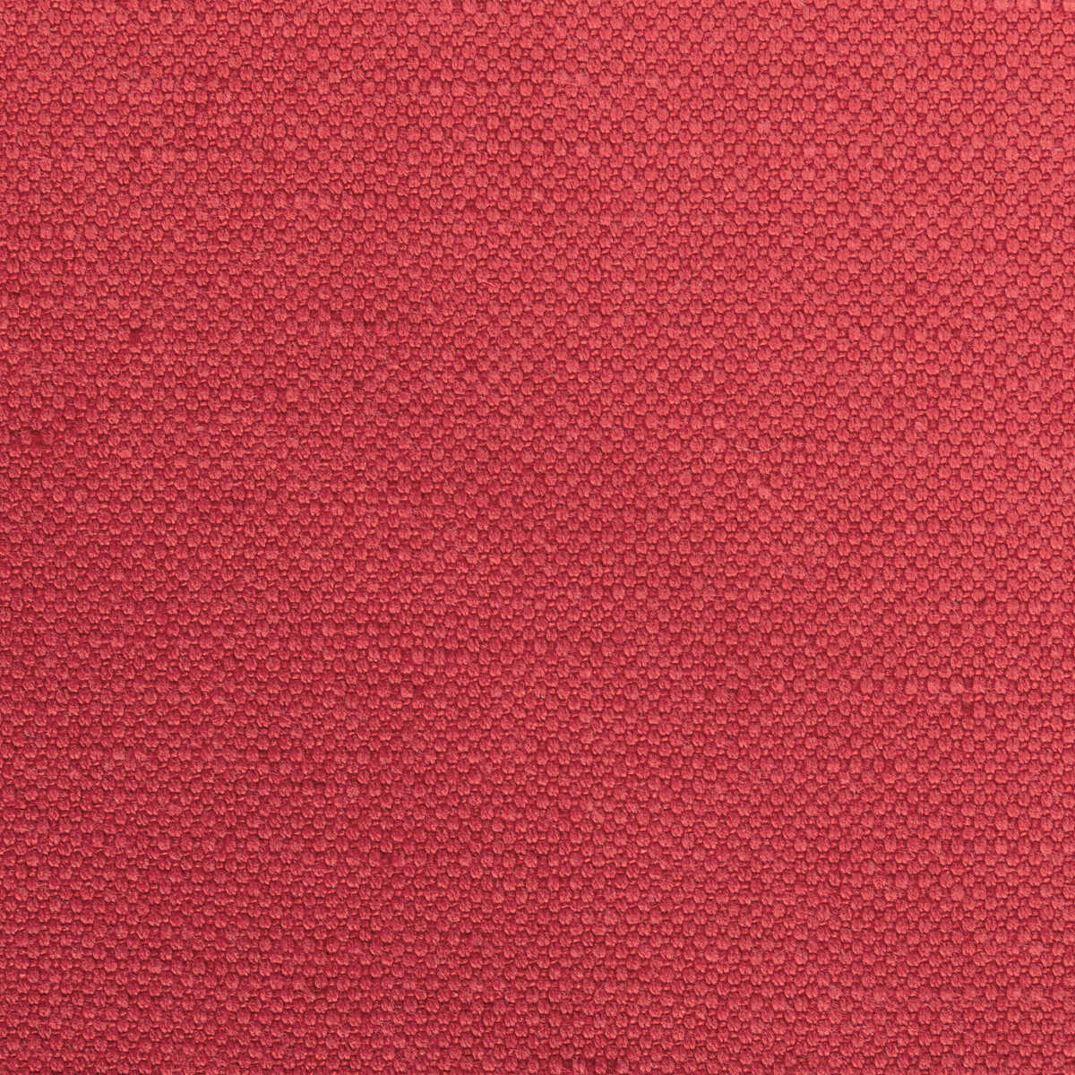 Carson - Roses - KRAVET BASICS Fabric